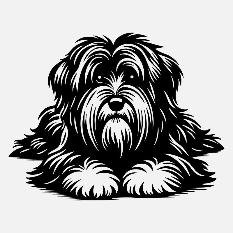 Terrier tibétain
