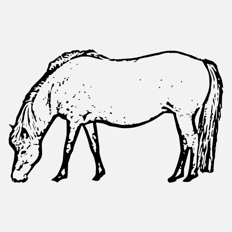 Pferd schwarz
