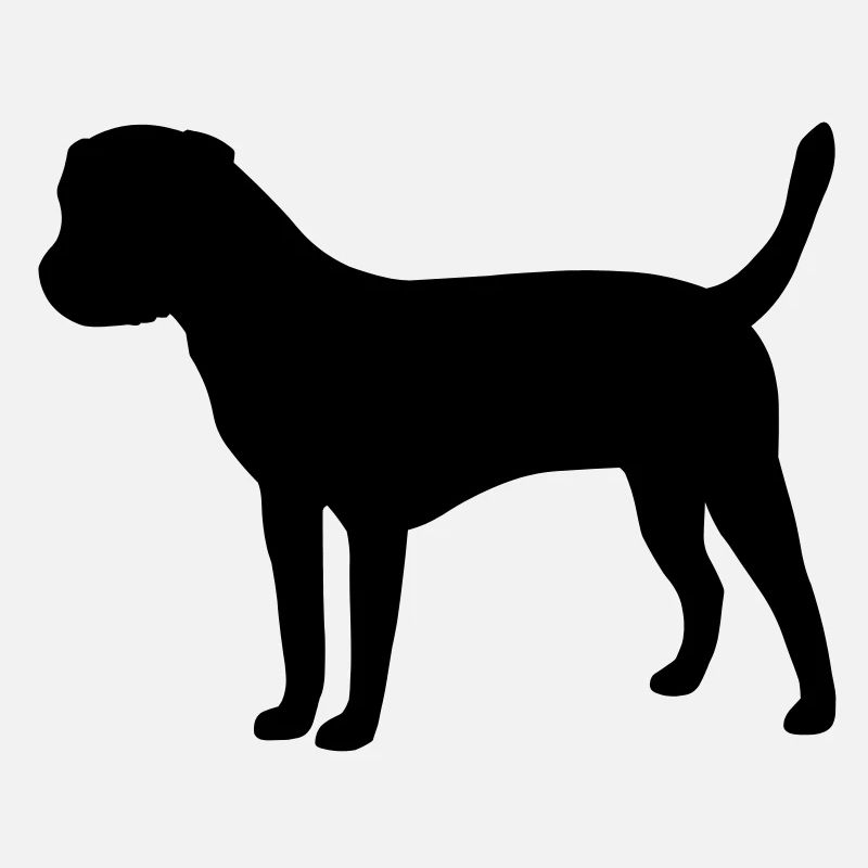 Border Terrier