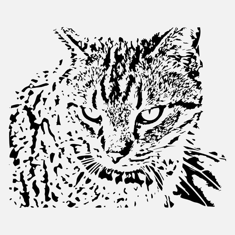 chat chaton noir mignon