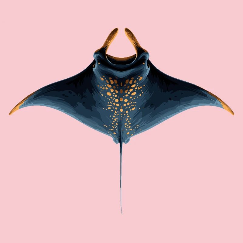 Manta Ray, Devil Ray, Stingray, Diver