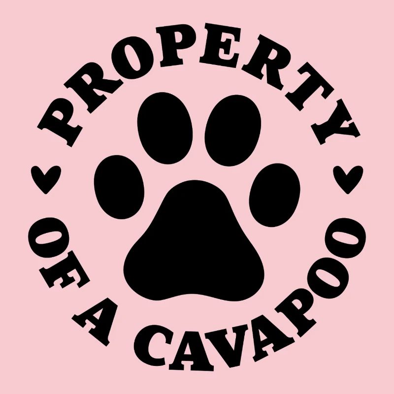 Eigentum eines Cavapoo