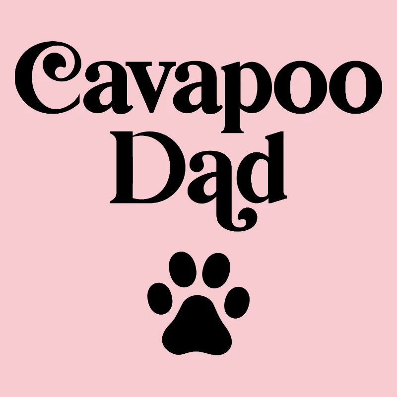 Cavapoo Dad