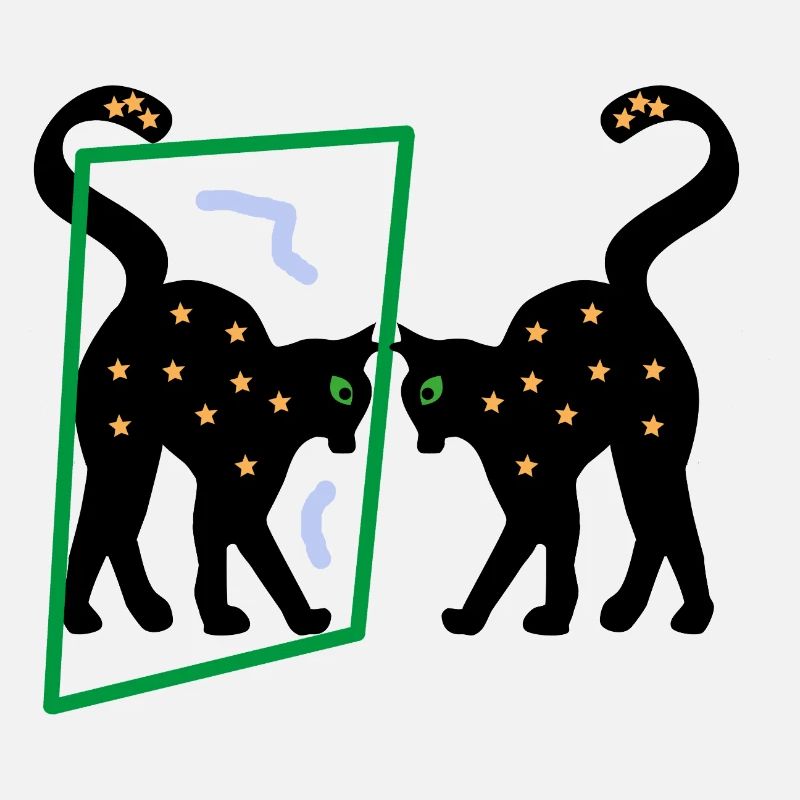 Mirror the Kitten, Abstraction