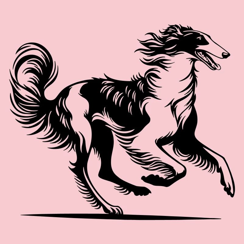 Barzoï