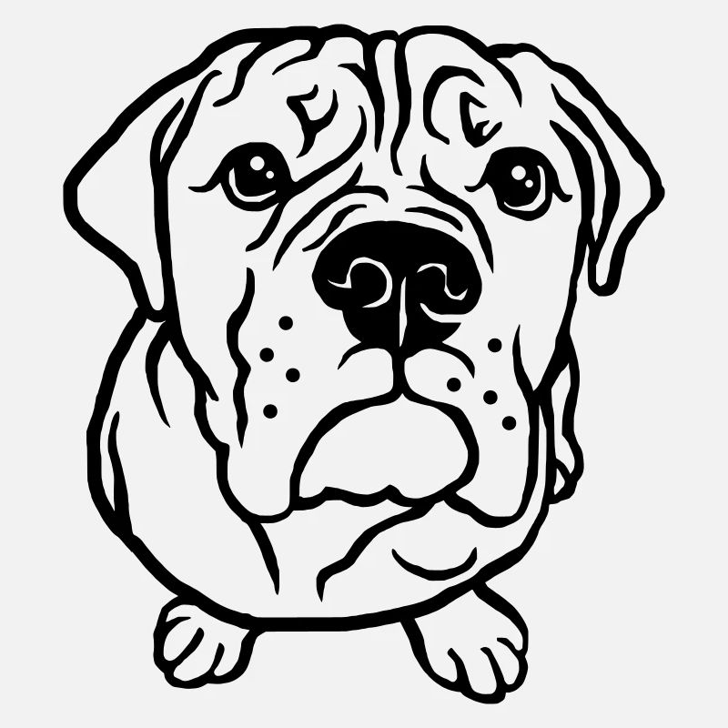 Bulldog bettelnd
