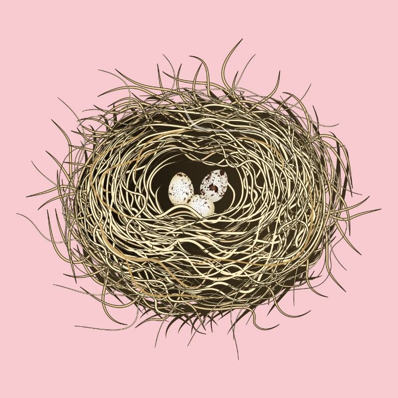 Vogelnest oder Osternest mit drei Vogel Eier