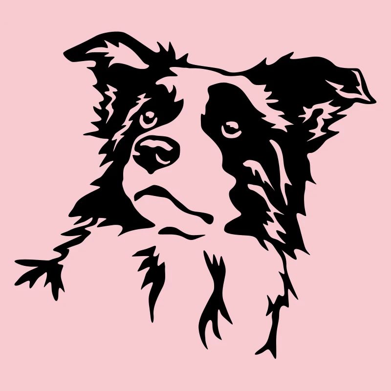 Border Collie head