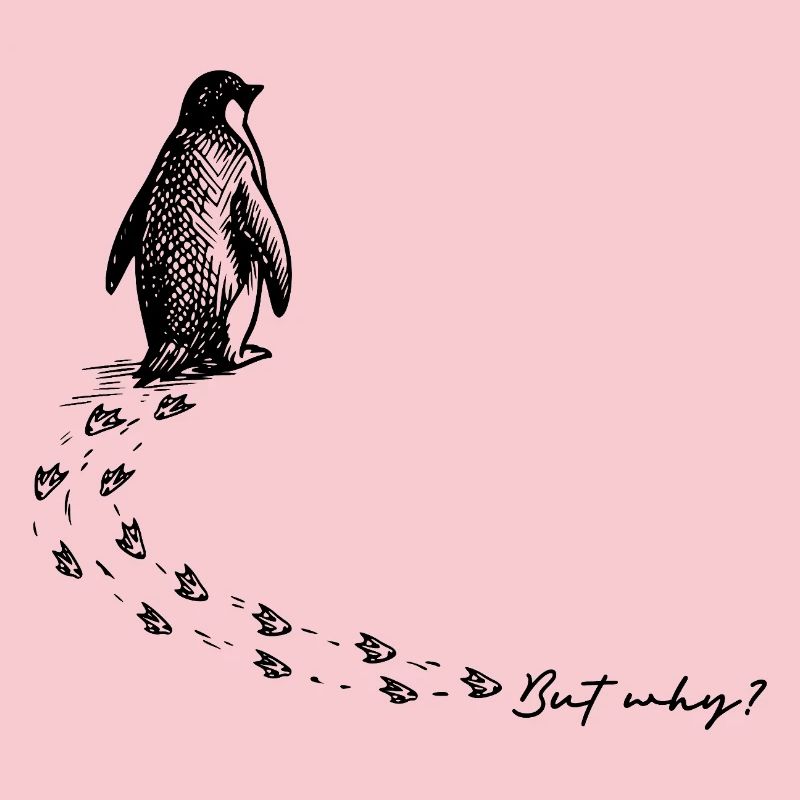 But why? Penguin Meme Footprints Doodle Doodle