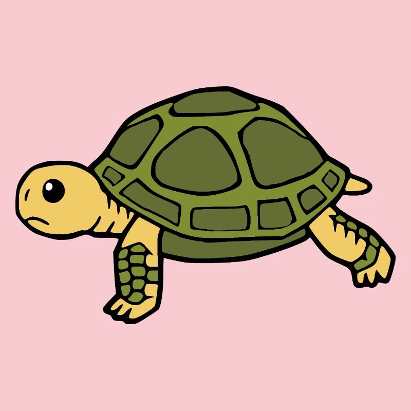 Turtle Turtles