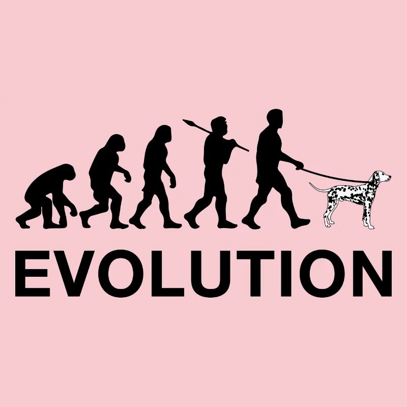 évolution