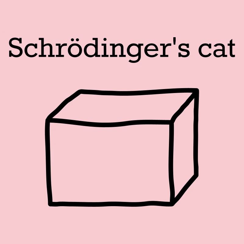 Schrödinger's Cat – Funny Quantum Physics Nerd