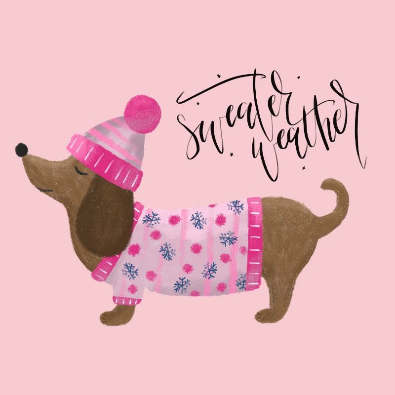 Teckel avec pull et chapeau Pull Météo rose