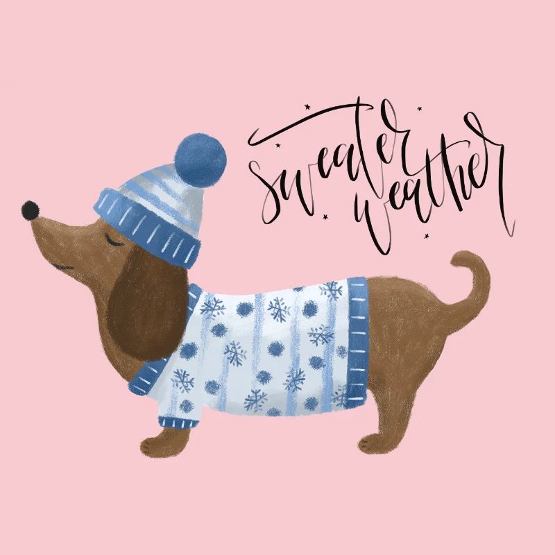 Teckel avec pull et chapeau Pull Météo bleu