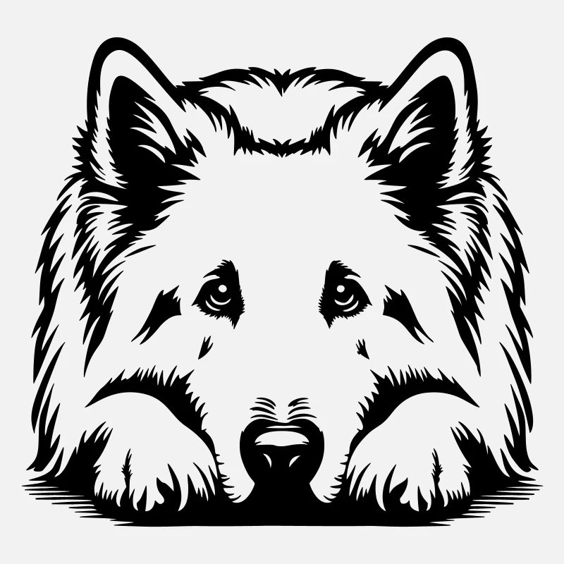 Swiss Shepherd