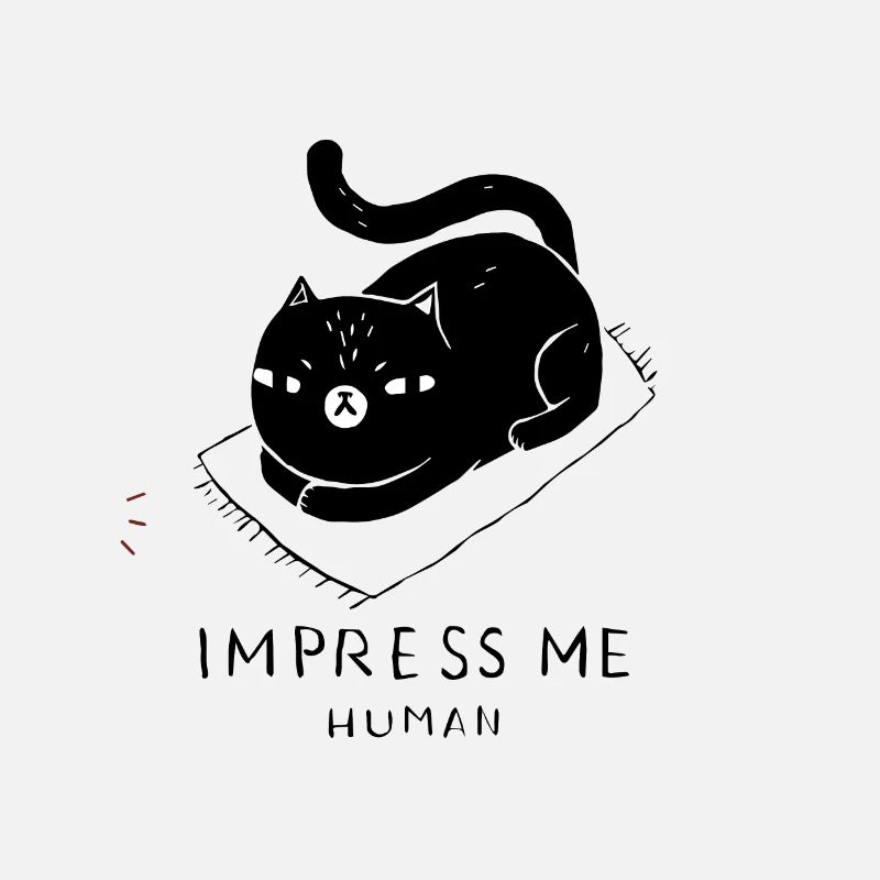 Frechte Cats Funny Cool Black Cat Present