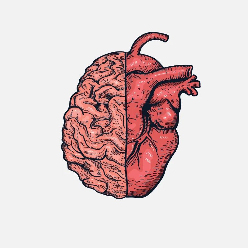 Half heart half brain mind and emotions