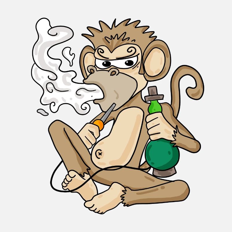Shisha pipe à eau singe fumant