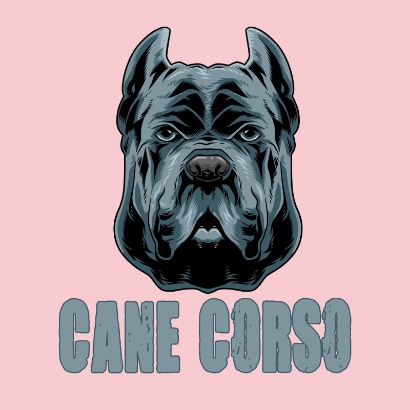 Cane Corso for a Cane Corso owner Cane