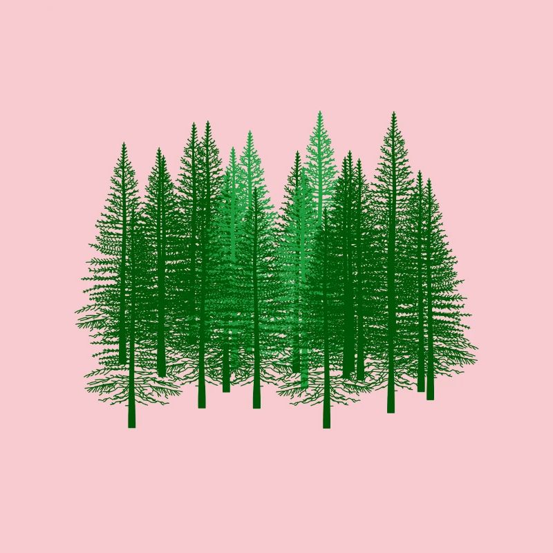 Forest Forests Forester Hunter Gift Idea Fir Tree