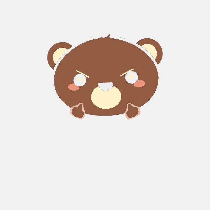 Bear middle finger