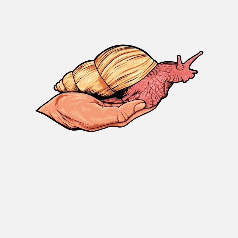 Escargot rampant sur la main - Escargots d’agate