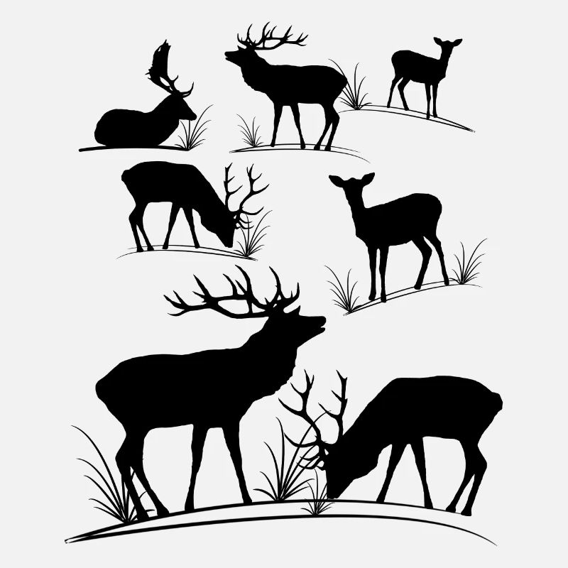 Hirsche, Reh, Rotwild, Damwild, Hirsch, Rehbock