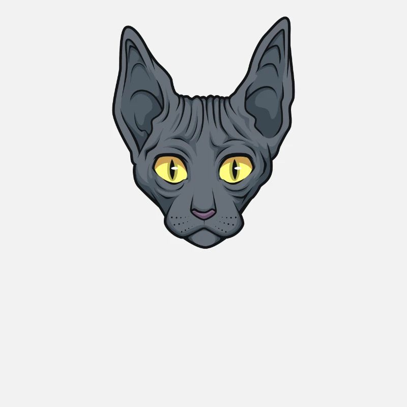 Sphynx Chat