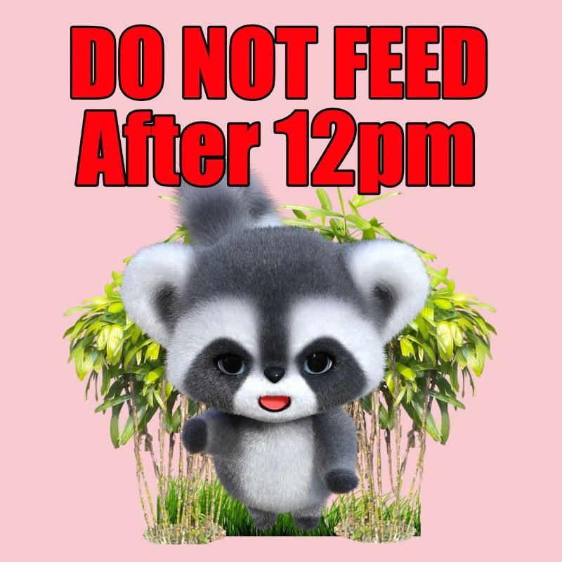 Füttern Sie den Gremlin nicht