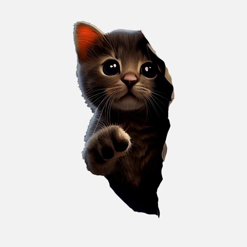 Chat mignon Chaton Craqué Chat Amants Chats Chats
