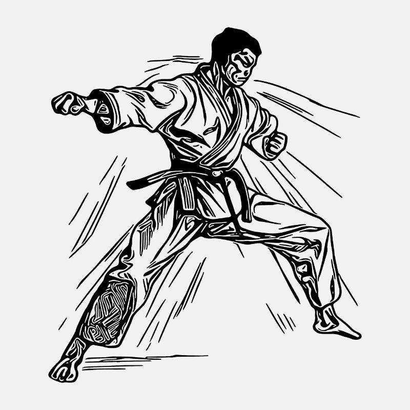 Karate Turnier Kampfgeist Meisterschaft Sieg