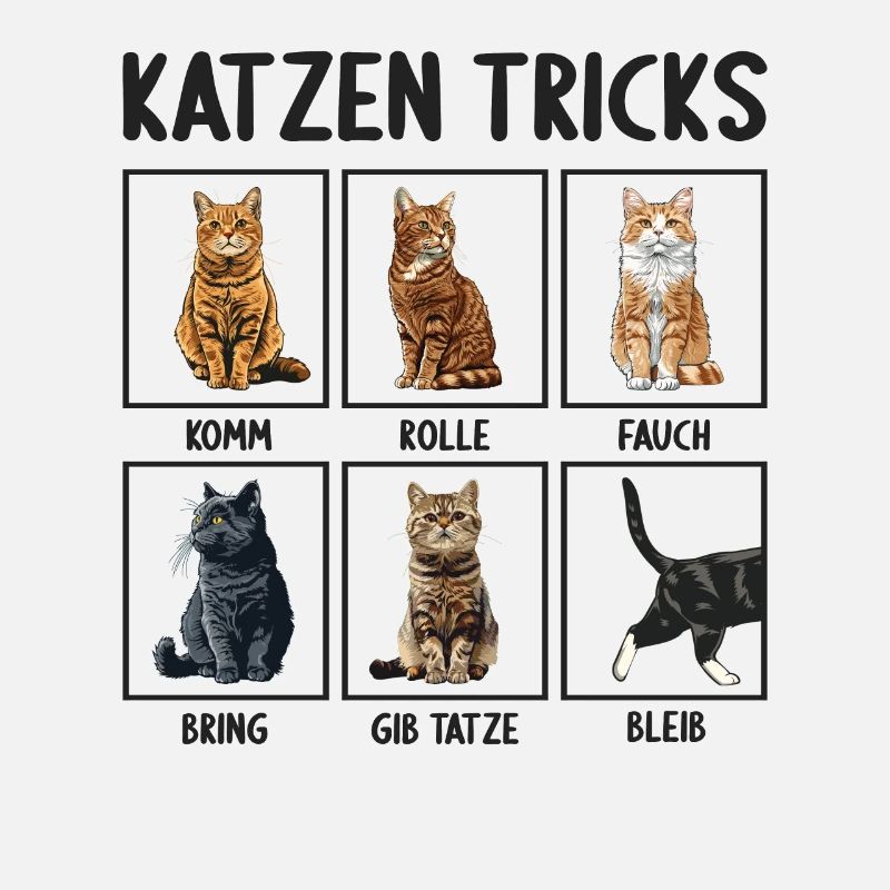 Chat Chats Astuces Chats Drôles