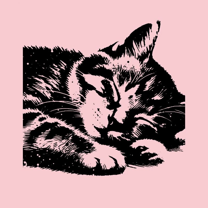 Cute Sleeping Cat