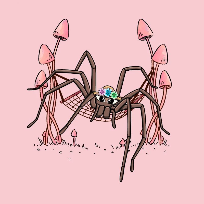 Spider Hanging Hammock Spider Web