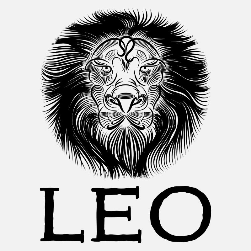 Plan de travail leo1s 1