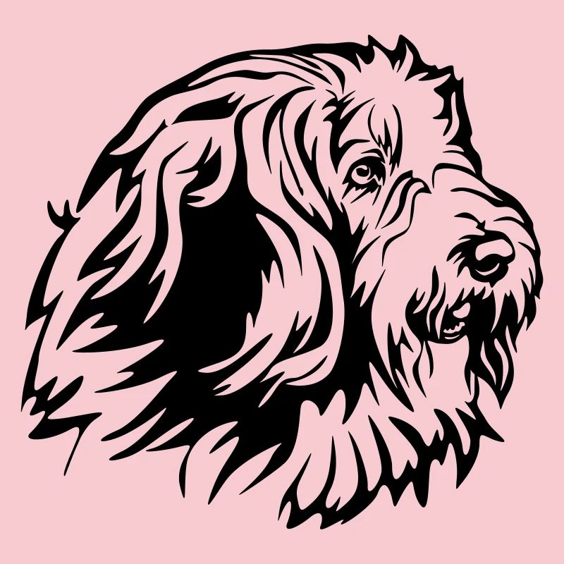 Bearded Collie Head