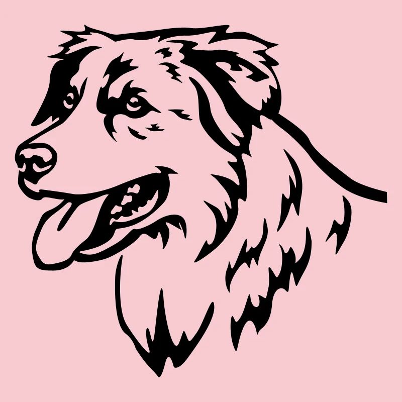 Australian Shepherd Kopf