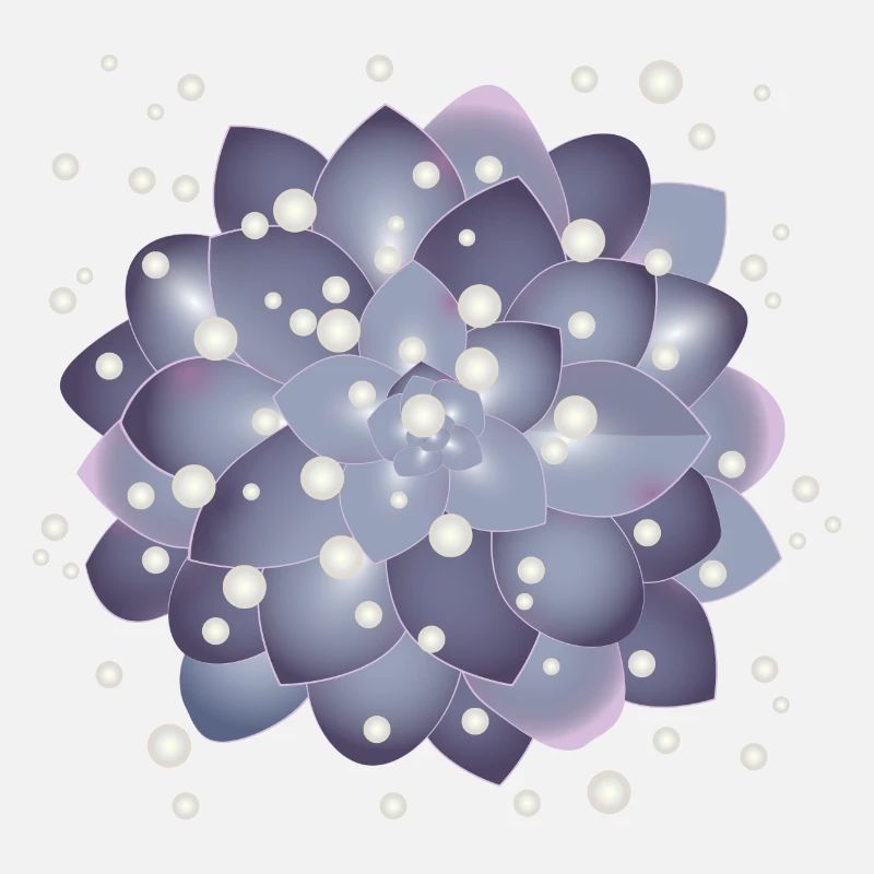 belle fleur succulente avec des perles