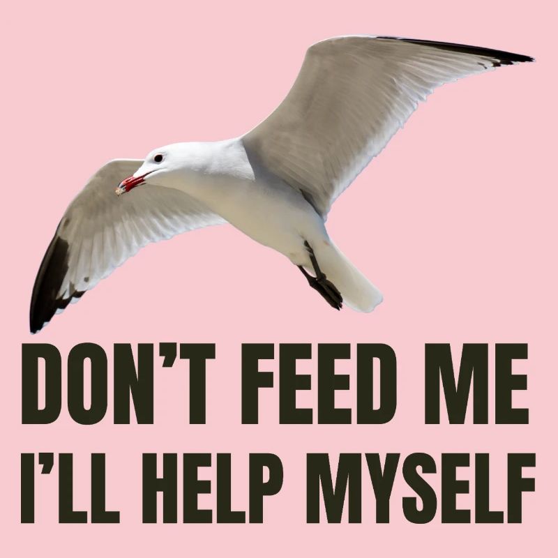 Möwe mit mutigem Statement