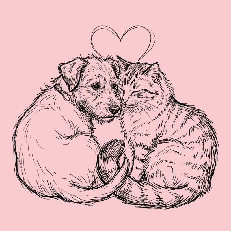 Amis mignons (Chat + Chien)