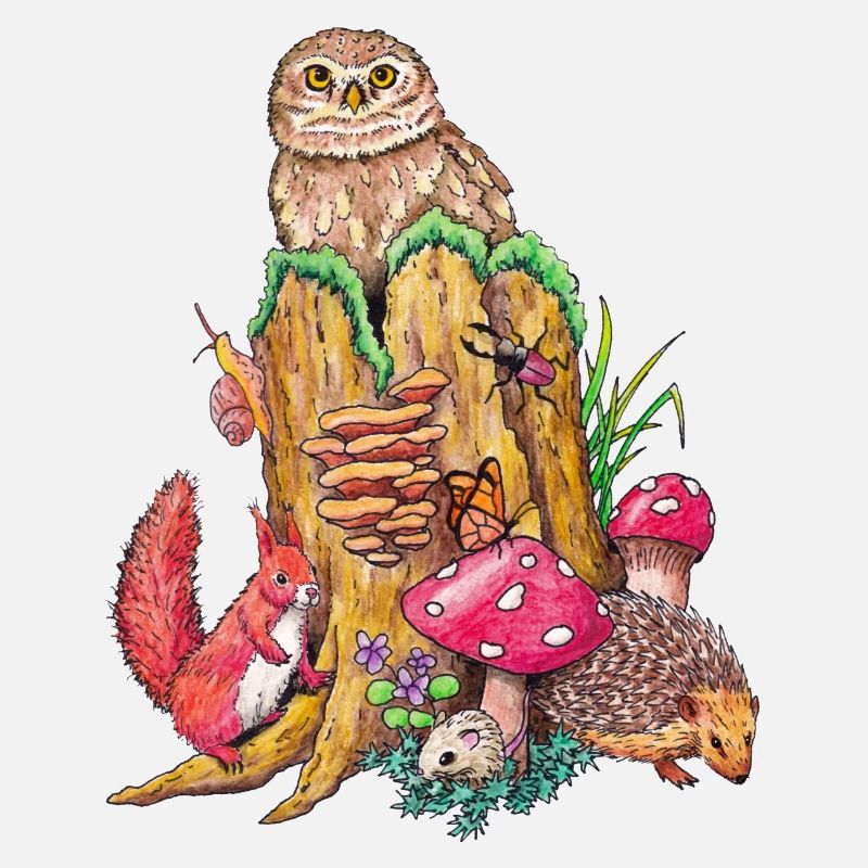 Forest animals