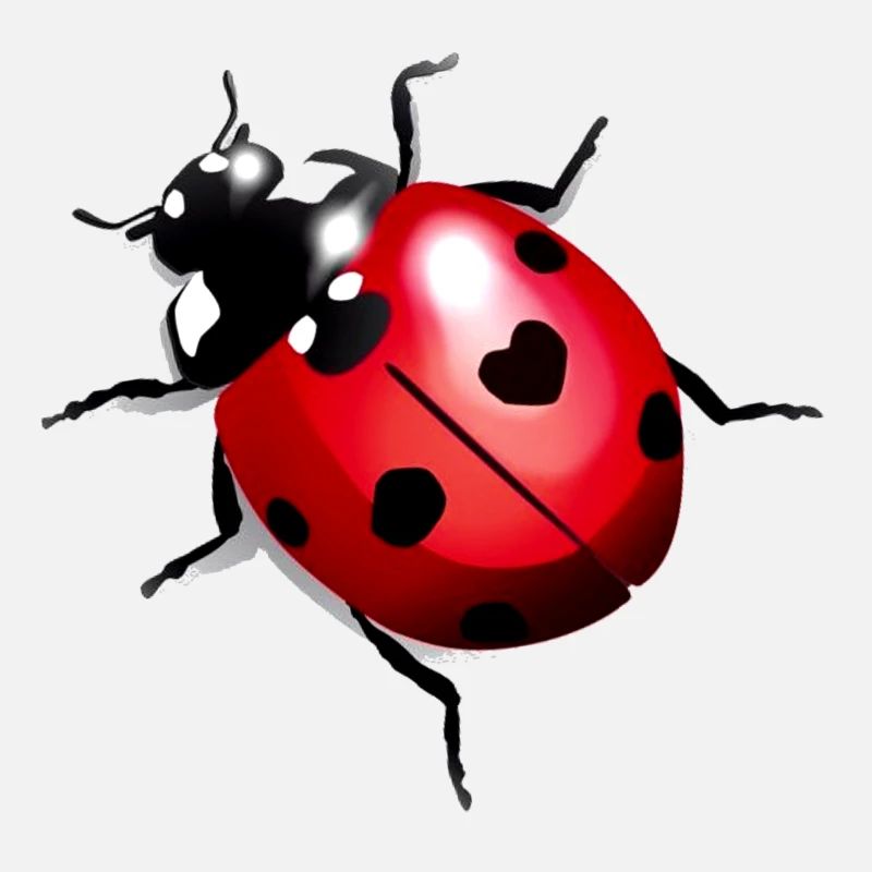 Ladybug