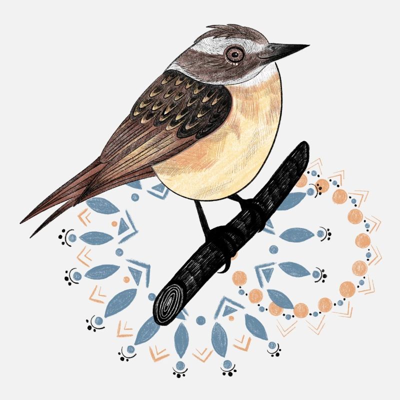 Mignon oiseau à gorge brune 2023 (Garantie du prix le plus bas)