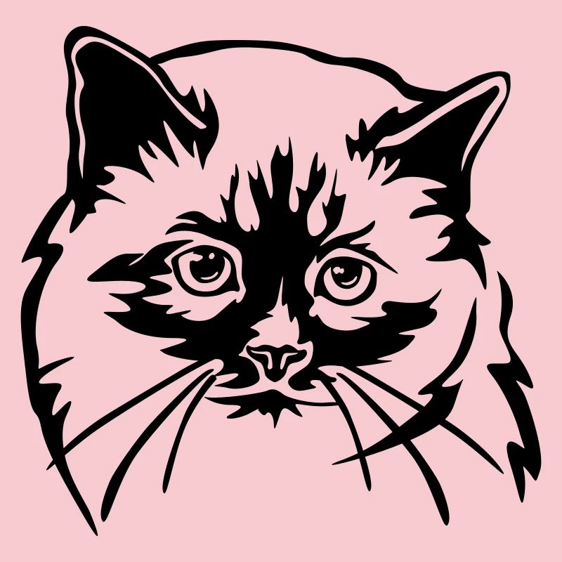 Birma Katze