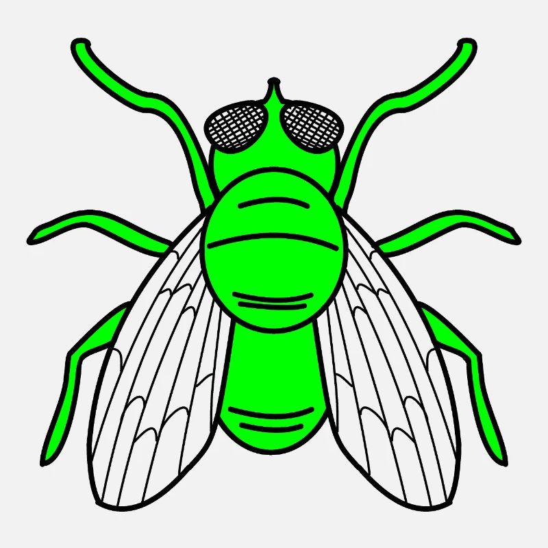 Fly