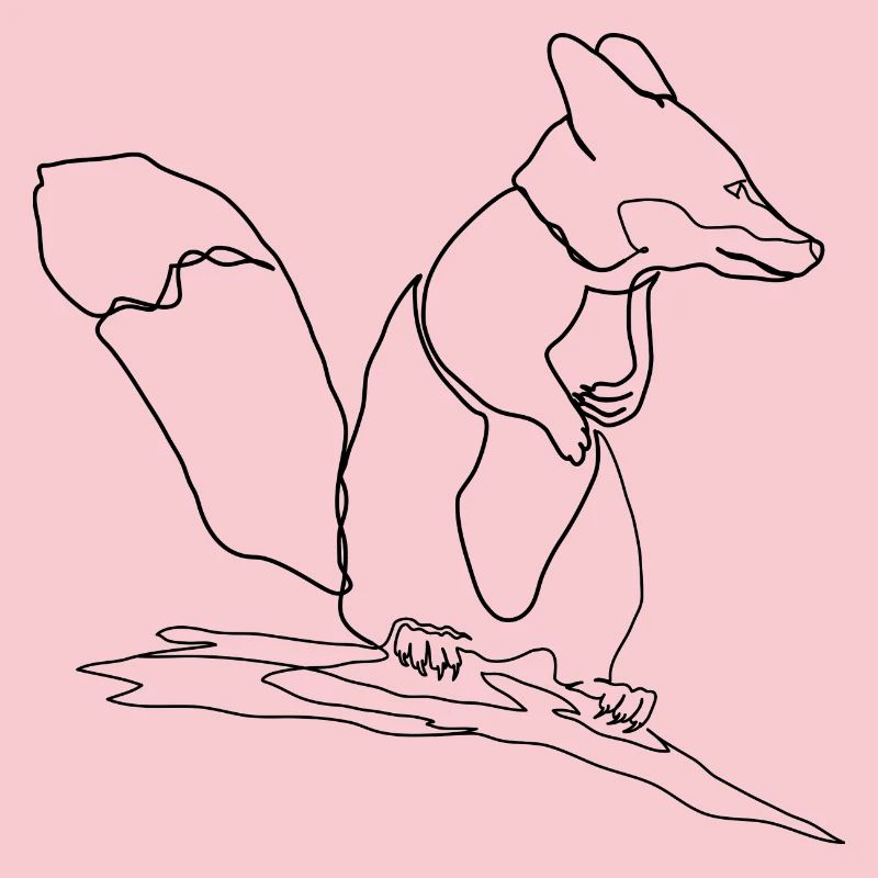 Fuchs Eichhörnchen Squirrel Fox