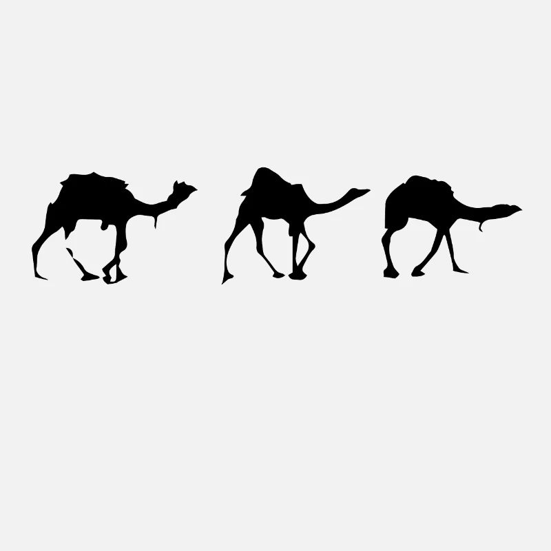 Camels