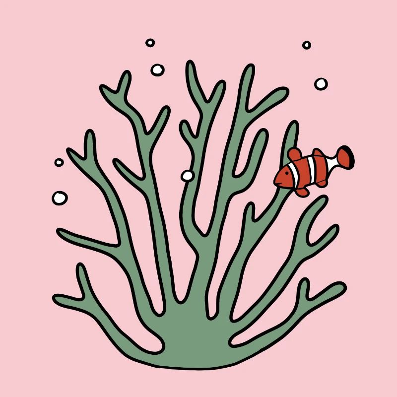 Coral anemone fish