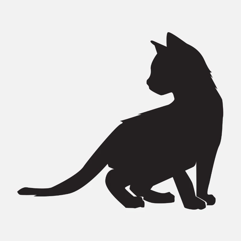 Conception de chaton