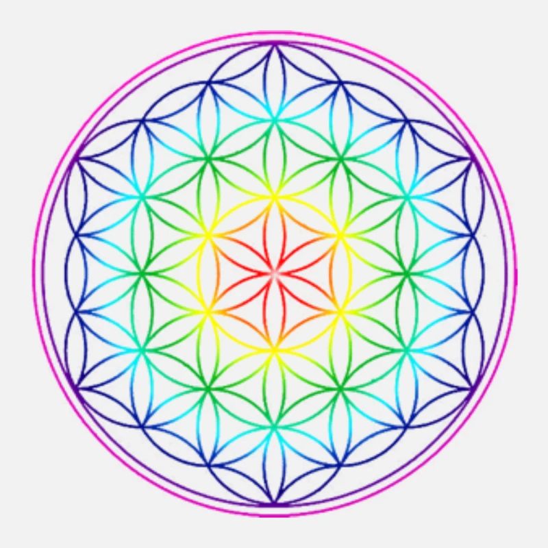 REGENBOGENBLUME DES LEBENS